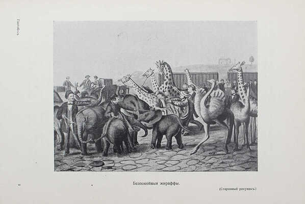 [Собрание В.Г. Лидина] Гагенбек К. О животных и людях / Пер. Л.С. Кустаревской.~М., 1912.